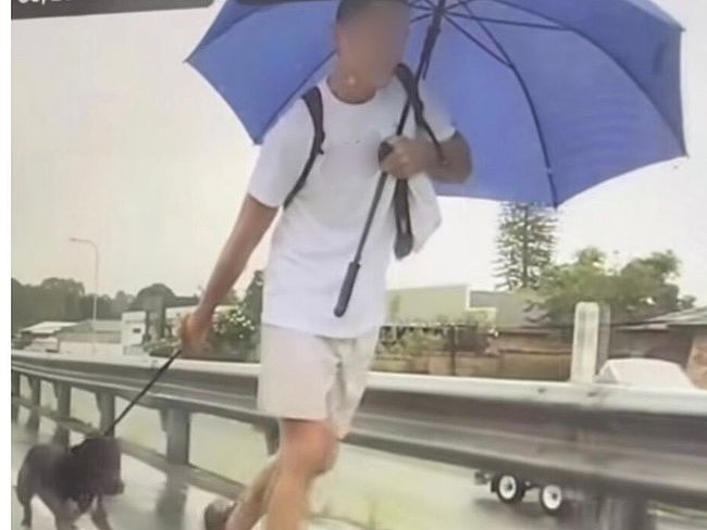 澳街头惊现虐狗事件！男子当街勒颈踢踹，警方急寻目击者 - 2