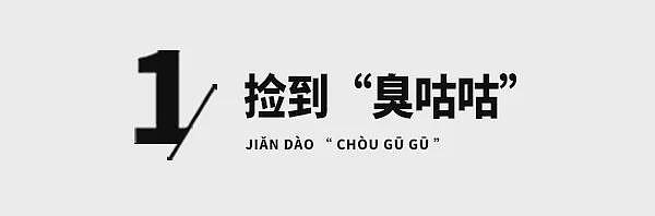 女子捡到“臭咕咕”当啄木鸟养,喂粮食不吃,网友:闻闻香不香? - 1