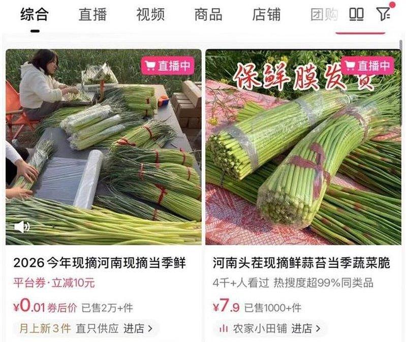 收购价才2毛，请工人要倒贴，河南大量蒜薹被扔沟渠 - 3