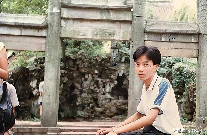 48岁杨乐乐复出落泪,自曝与汪涵婚姻现状,倒霉事都让她赶上了 - 8