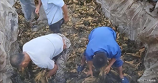 48岁杨乐乐复出落泪,自曝与汪涵婚姻现状,倒霉事都让她赶上了 - 10
