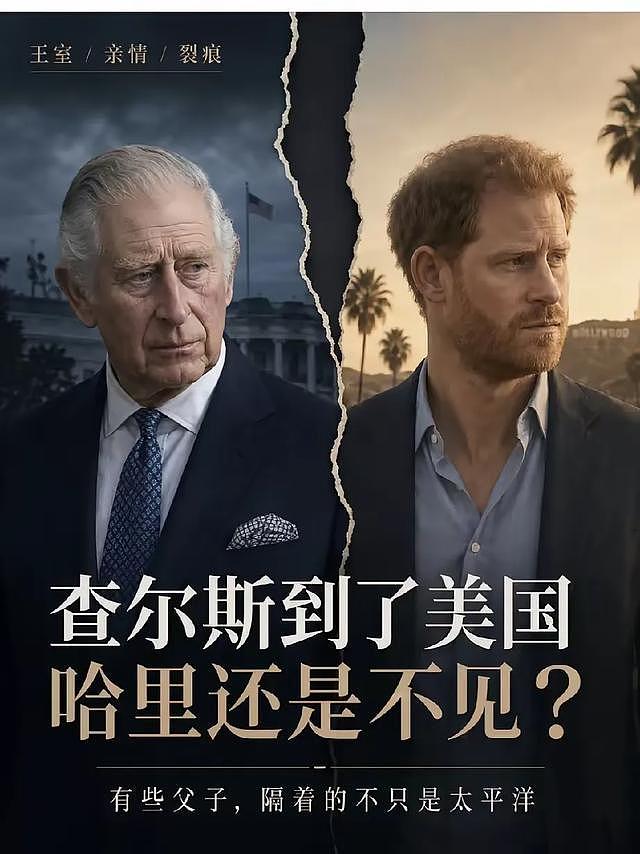必须坚持!看了查尔斯出访,才明白为啥哈里梅根一直坚持这个要求(组图) - 1