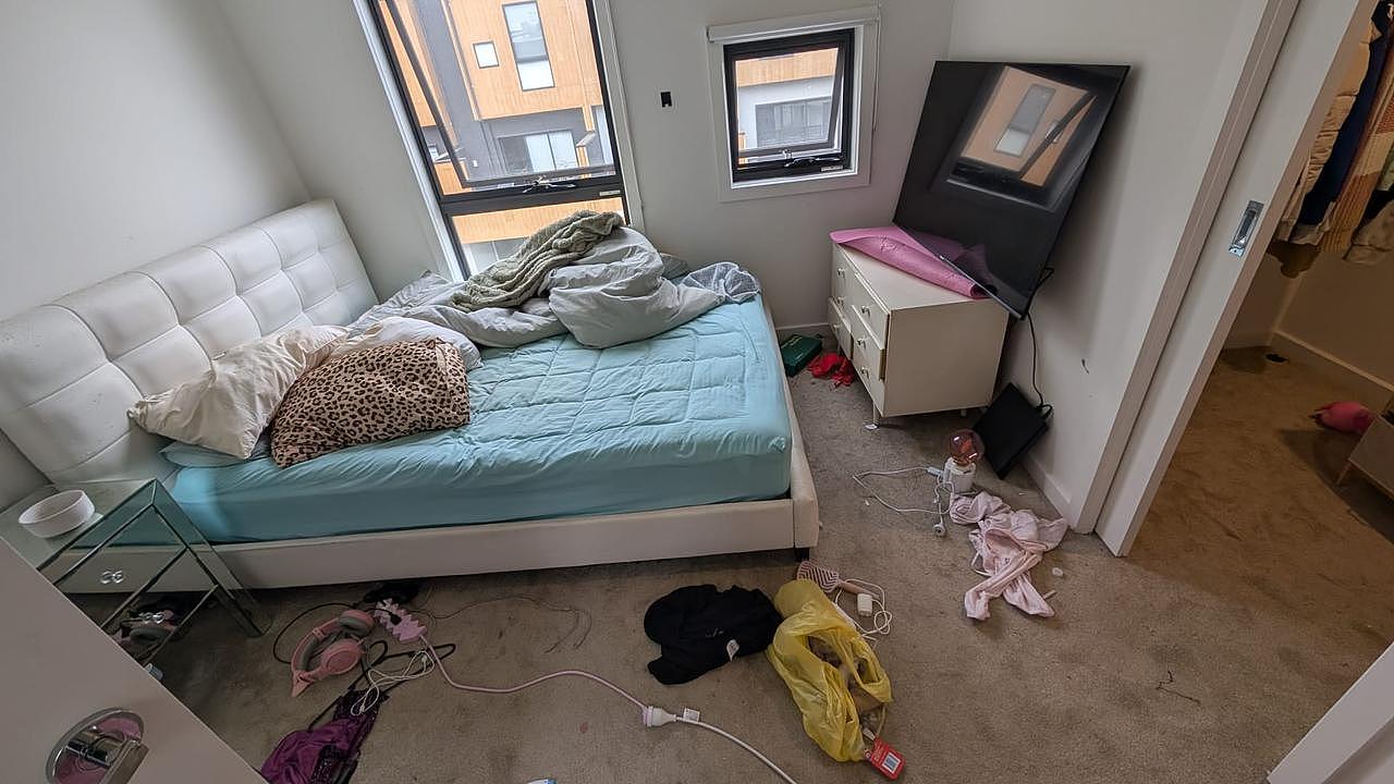 惨亏$6.5万！澳租客留8只猫与满地粪便，崩溃房东呼吁修改法律（组图） - 8