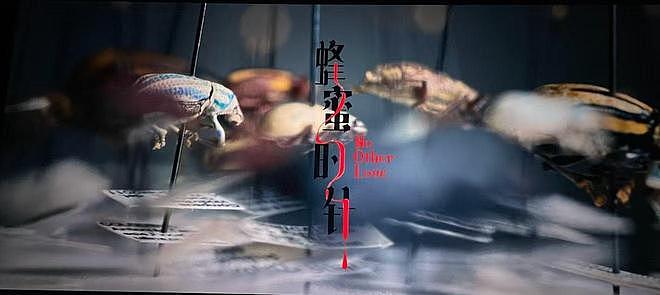 陈坤、黄晓明接连发文,赵薇罕见露面,原来她还有一条“退路”(组图) - 34