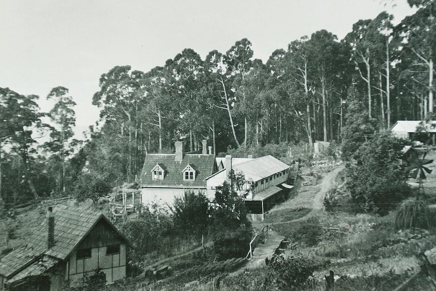 澳洲著名画家故居惊现“占房者”，男子居住二十年向法院申请夺取产权 - 8