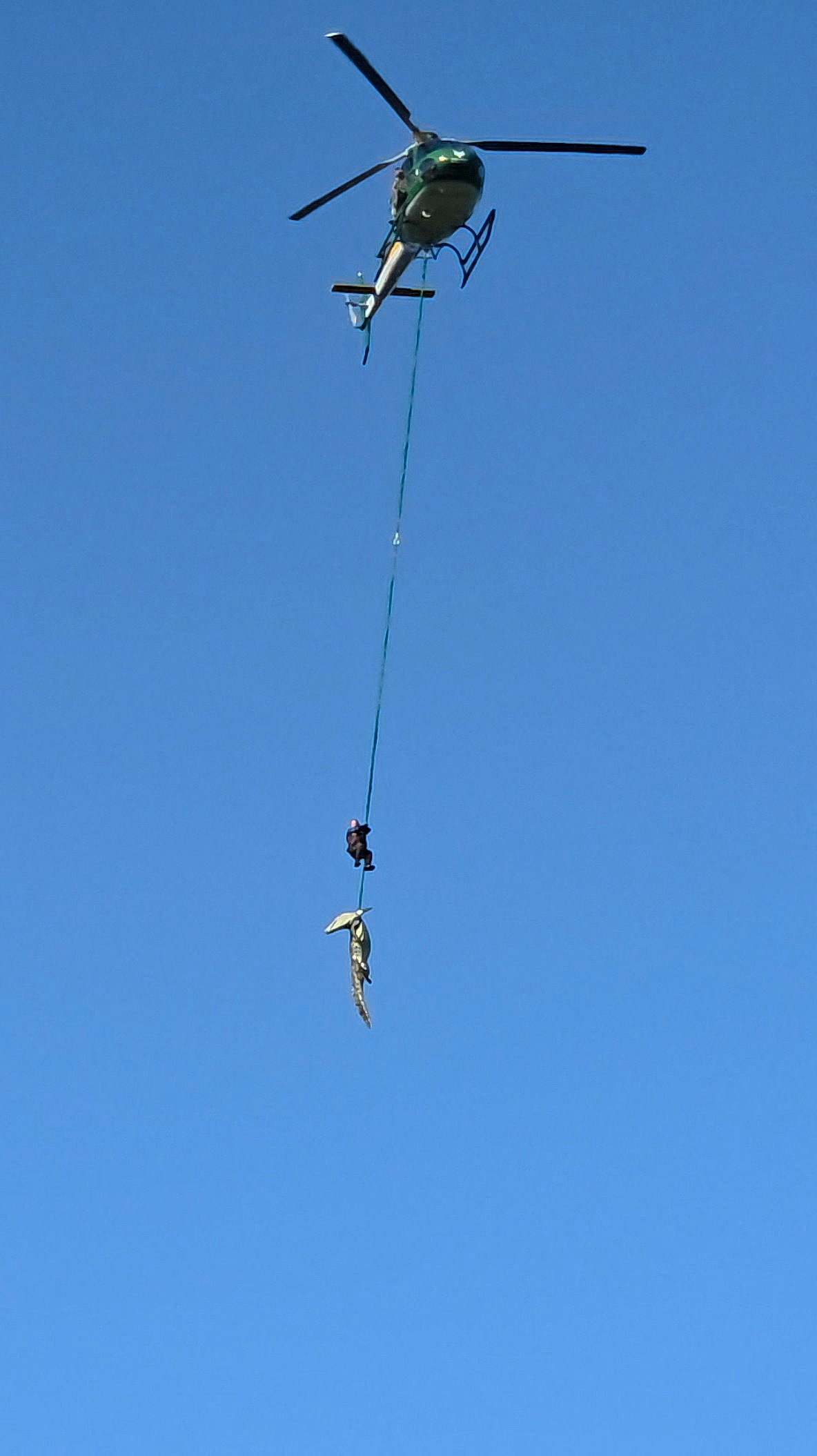 南非500kg巨鳄吃人！遭警击毙解剖，腹内竟藏6双鞋及人体残肢（组图） - 5