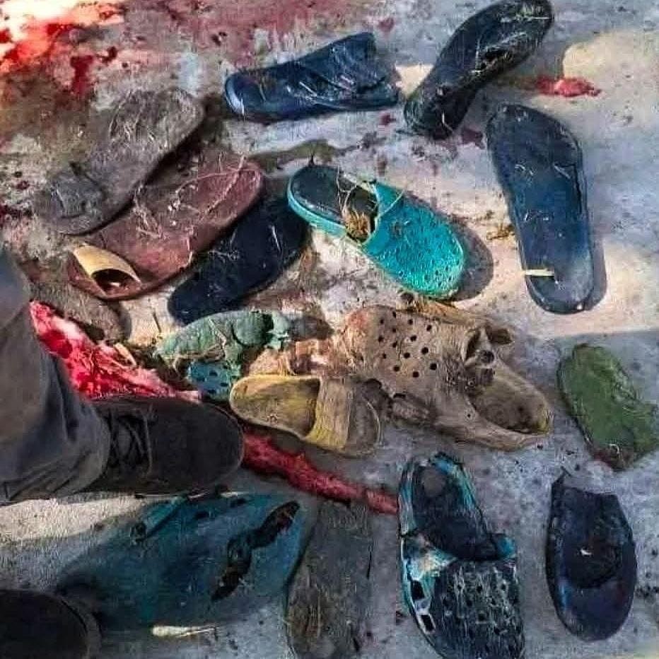 南非500kg巨鳄吃人！遭警击毙解剖，腹内竟藏6双鞋及人体残肢（组图） - 6