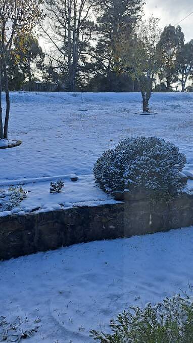澳一地突降初雪!路面积雪厚达2英寸,卡车都开不动(组图) - 2