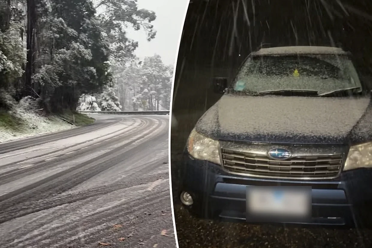 寒流来袭！澳部分地区迎来降雪，积雪最厚达15厘米，3州拉响警报（组图） - 1