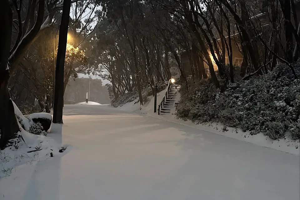 寒流来袭！澳部分地区迎来降雪，积雪最厚达15厘米，3州拉响警报（组图） - 2