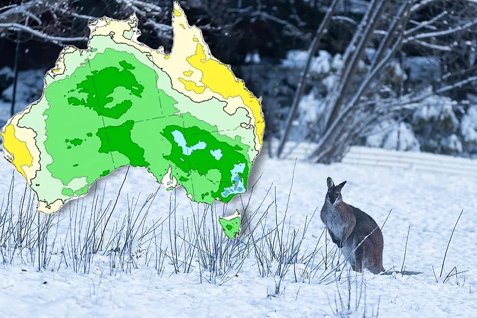 寒流来袭！澳部分地区迎来降雪，积雪最厚达15厘米，3州拉响警报（组图） - 3