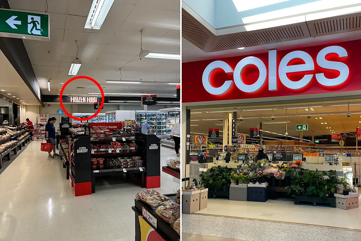 澳热销人造肉停产，Coles接棒！5款新品已上架，网友激动不已（组图） - 1