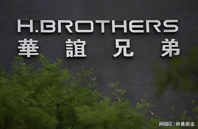 明星套现离场,留下85亿窟窿,华谊兄弟被谁“抽”干了? - 3