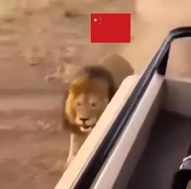 国旗P狗身+恶意嘲讽!德媒公然挑衅底线,刘国梁必须硬刚到底 - 2