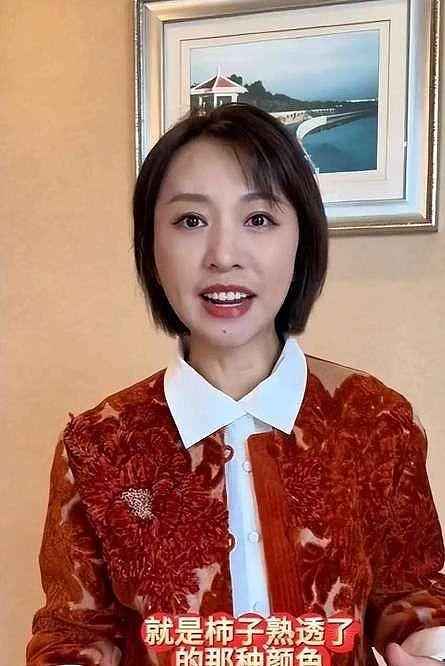 48岁欧阳夏丹现状:离开央视,被教授邀请现身挪威,至今未婚未育(组图) - 5