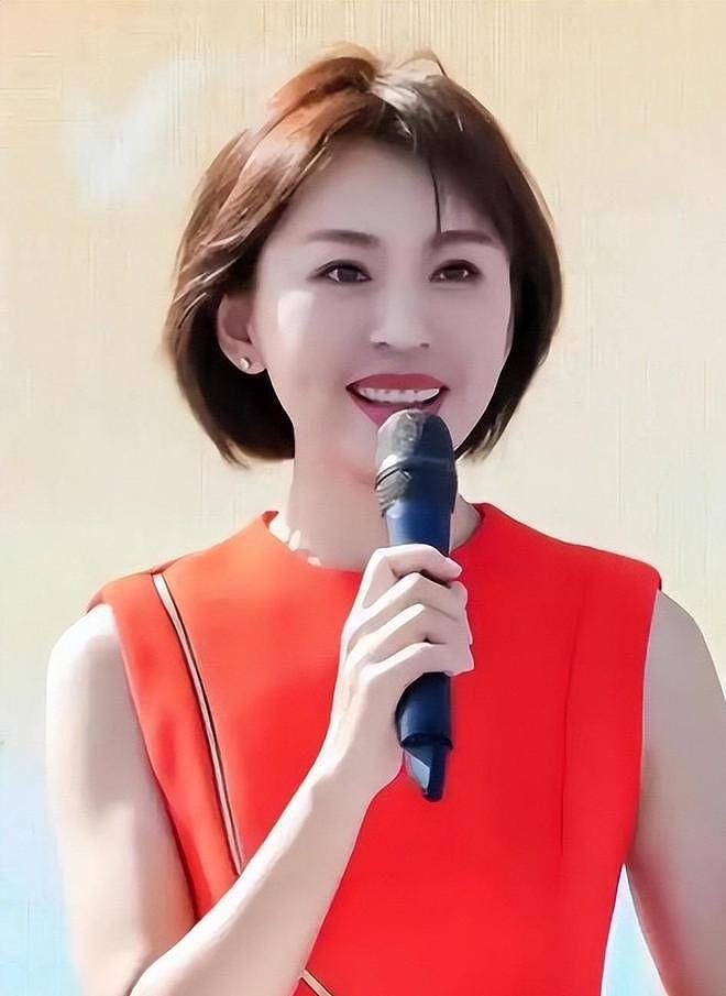 48岁欧阳夏丹现状:离开央视,被教授邀请现身挪威,至今未婚未育(组图) - 18