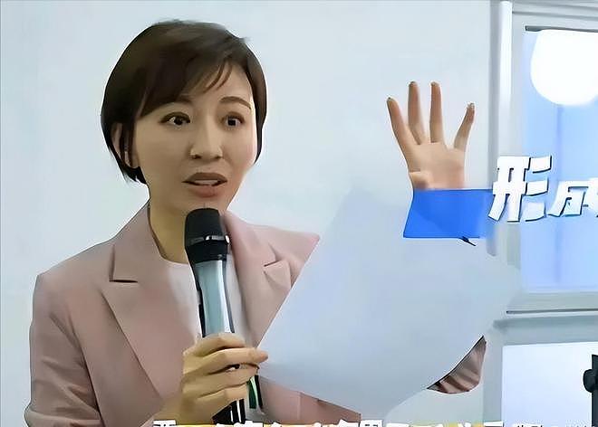 48岁欧阳夏丹现状:离开央视,被教授邀请现身挪威,至今未婚未育(组图) - 19