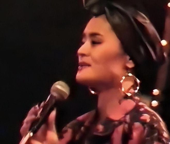她红过韦唯,碾压毛阿敏,被亲弟打成脑震荡,一代歌后沦落成保姆 - 6