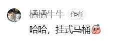 主人晒出猫咪睡在厕所的照片，网友惊呆：马桶从猫肚子上穿过去了？（组图） - 4