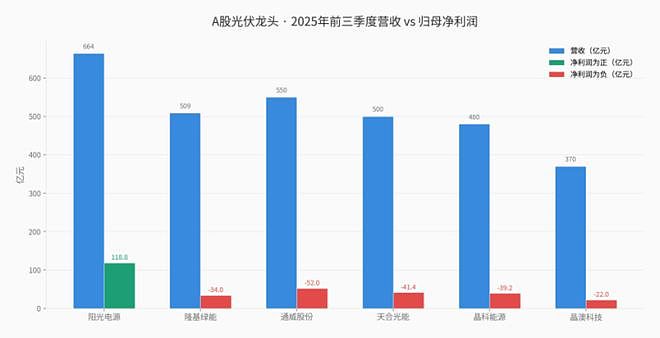 中国光伏的堡垒，被印度从内部攻破（组图） - 2