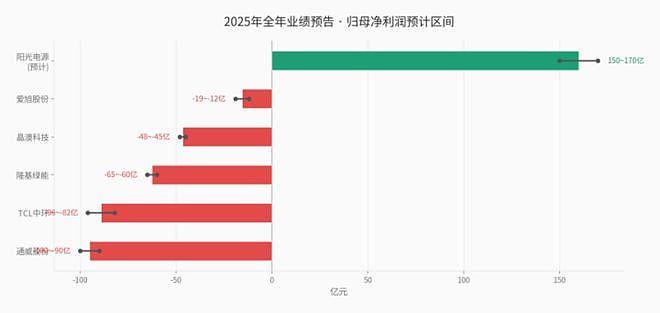中国光伏的堡垒，被印度从内部攻破（组图） - 3