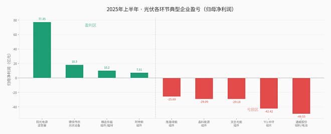 中国光伏的堡垒，被印度从内部攻破（组图） - 4