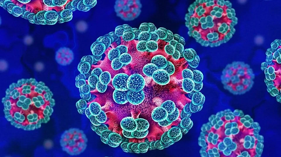 致命病毒侵袭豪华邮轮，已致3死！大批旅客下船，疑有澳人回国（组图） - 2