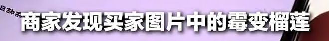 因恶意退货太多，整条街道被商家“拉黑”！网友：还是低估了羊毛党（组图） - 15