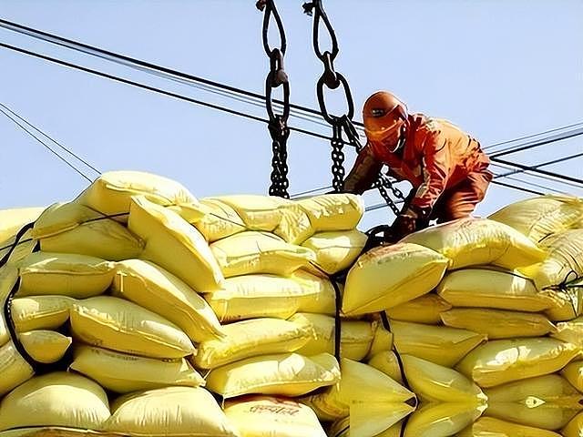 欧盟为什么不愿中国储存粮食？看印度一番神操作，一切都清楚了（组图） - 4