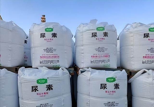 欧盟为什么不愿中国储存粮食？看印度一番神操作，一切都清楚了（组图） - 7