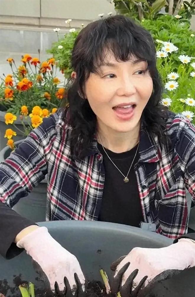 61岁张曼玉豪宅改造菜园，亲手挖芋头，丝毫没有明星架子 - 1