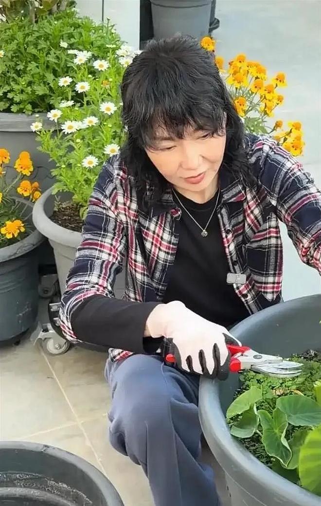 61岁张曼玉豪宅改造菜园，亲手挖芋头，丝毫没有明星架子 - 3
