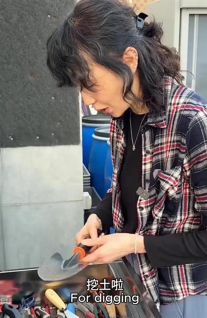 61岁张曼玉豪宅改造菜园，亲手挖芋头，丝毫没有明星架子 - 5