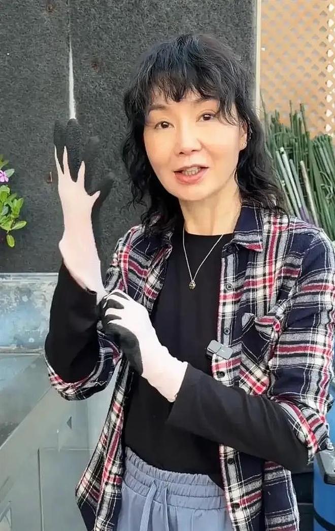 61岁张曼玉豪宅改造菜园，亲手挖芋头，丝毫没有明星架子 - 6