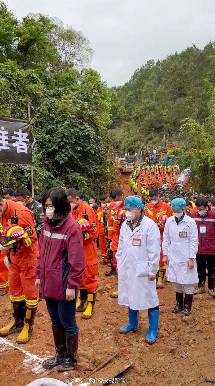 东航132死空难黑匣子数据公开！驾驶舱疑爆冲突，两飞行员抢夺控制权（组图） - 7