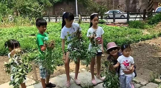 小玥儿开通个人账号！发文求救，晒照思念妈妈，外婆和小S是好友 - 6
