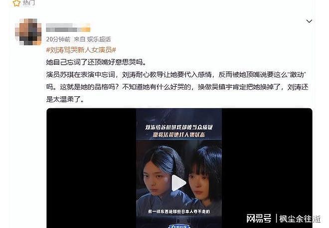 刘涛人设塌房当众发飙骂新人,背后隐情太意外 - 5