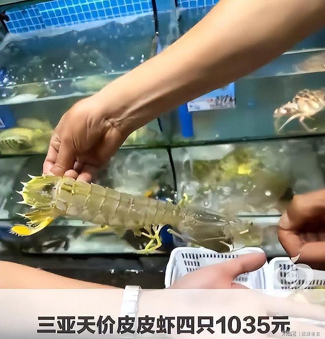 三亚皮皮虾事升级！老板身亡，亲属曝店铺彻底关闭，顾客恶行被扒 - 2
