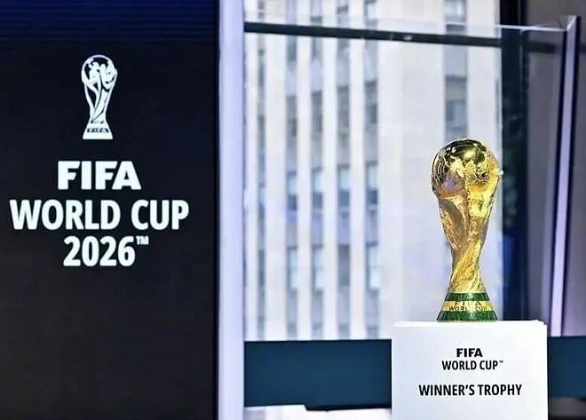 英专家建议FIFA快降价：就算央视不播，中国球迷也有办法看世界杯（组图） - 1