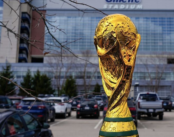 英专家建议FIFA快降价：就算央视不播，中国球迷也有办法看世界杯（组图） - 2