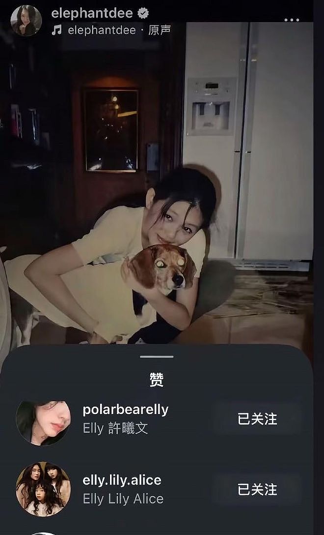 小玥儿发动态站队徐家，点赞大S具俊晔合照，汪小菲脸面挂不住（组图） - 4