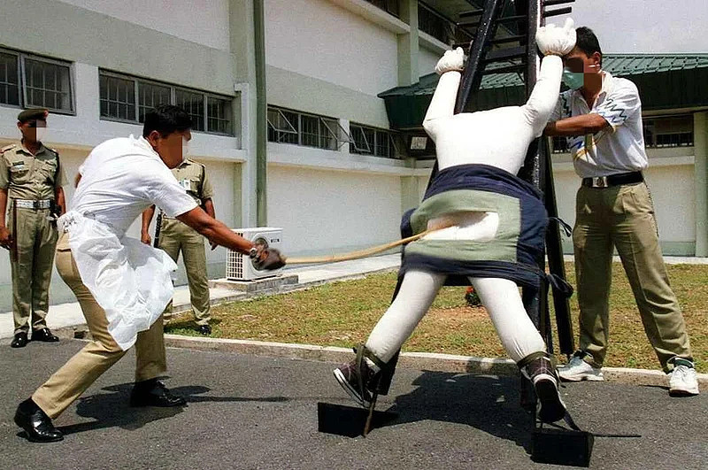 新加坡鞭刑登热搜！深扒细节：3鞭休克，时速160公里（组图） - 20