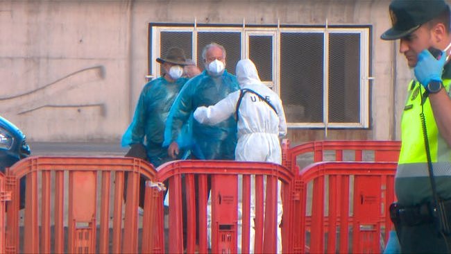致死率达一半！游轮爆发汉坦病毒已致三人死，五名澳人返国遇阻被迫滞留荷兰（组图） - 5
