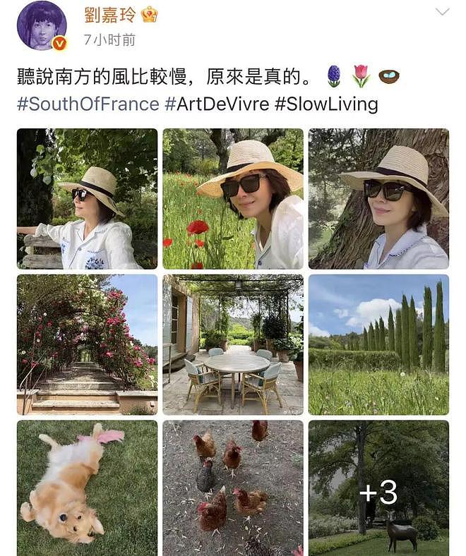 刘嘉玲默许梁朝伟在岛国养私生子 !?(组图) - 1