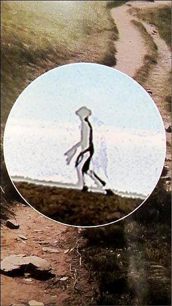 FBI解密UFO！惊见外星人现踪台湾嘉明湖资料照，证实未修图、变造（组图） - 2