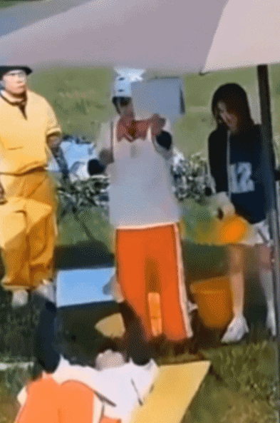 白鹿风波升级！本人掉粉20万评论区沦陷，网友质问为何欺负李晨（组图） - 11