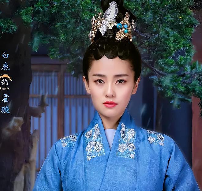 白鹿风波升级！本人掉粉20万评论区沦陷，网友质问为何欺负李晨（组图） - 17