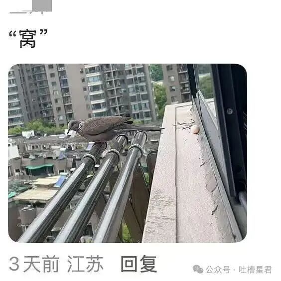 【爆笑】“27岁这点存款正常吗…？”哈哈哈看完心里暖暖的终于回到了穷人频道！（组图） - 20