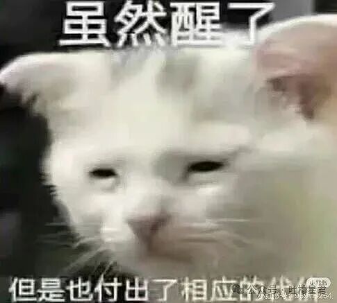 【爆笑】“27岁这点存款正常吗…？”哈哈哈看完心里暖暖的终于回到了穷人频道！（组图） - 1