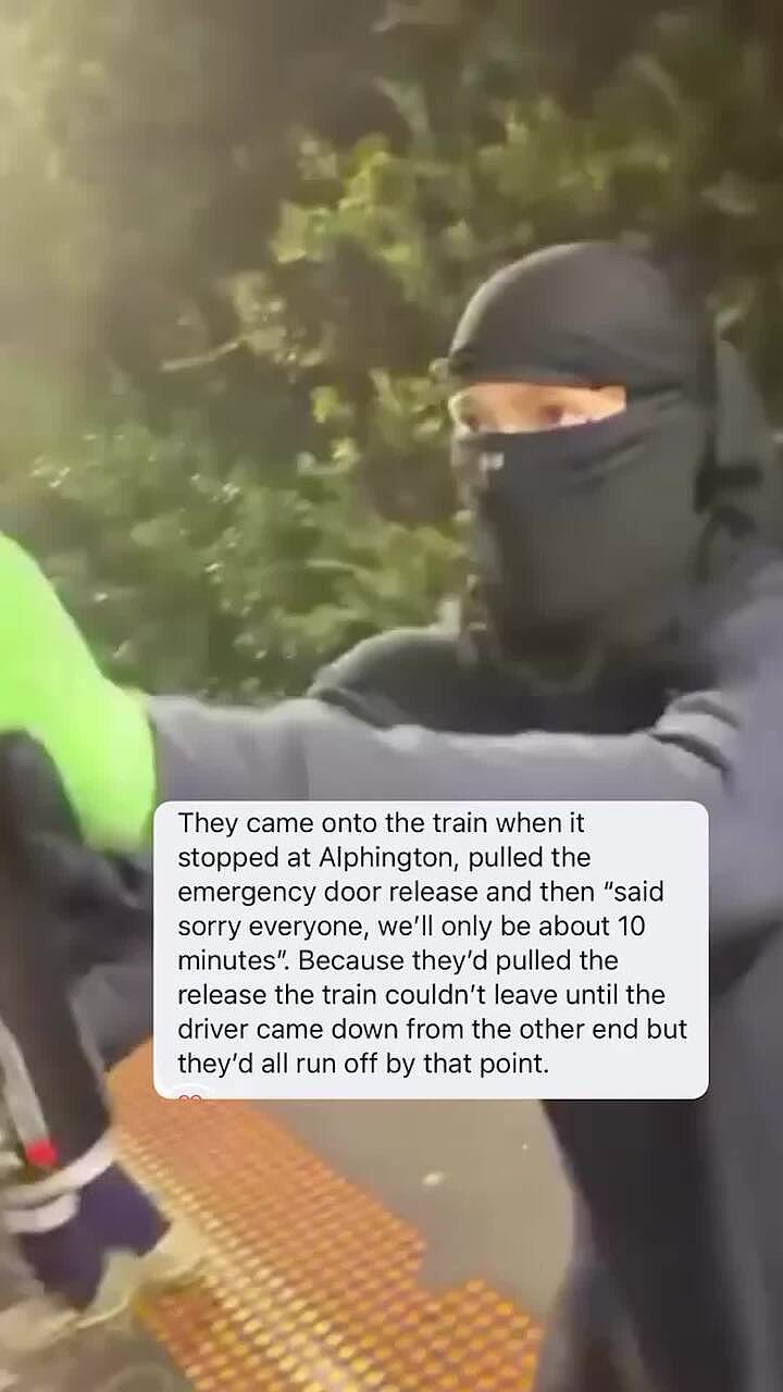 澳火车遭10蒙面人紧急逼停!疯狂涂鸦整节车厢,乘客懵了:怎么还道歉?(组图) - 1